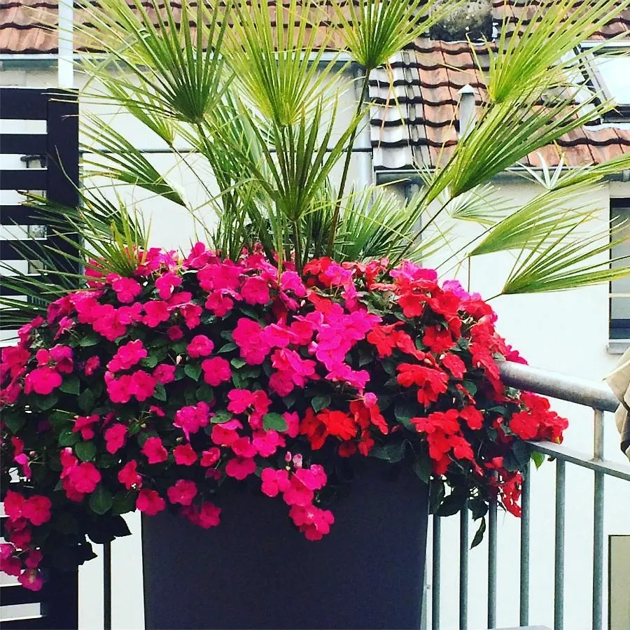 Apartment In Pempelfort - Central Dusseldorf